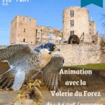 affiche volerie