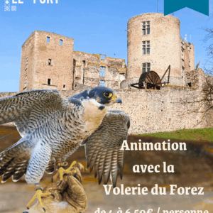 affiche volerie