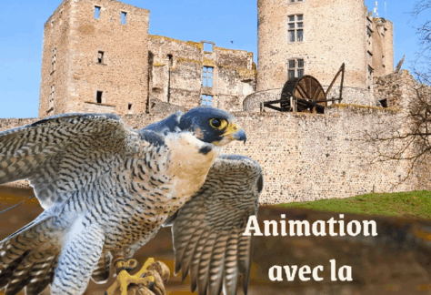 affiche volerie