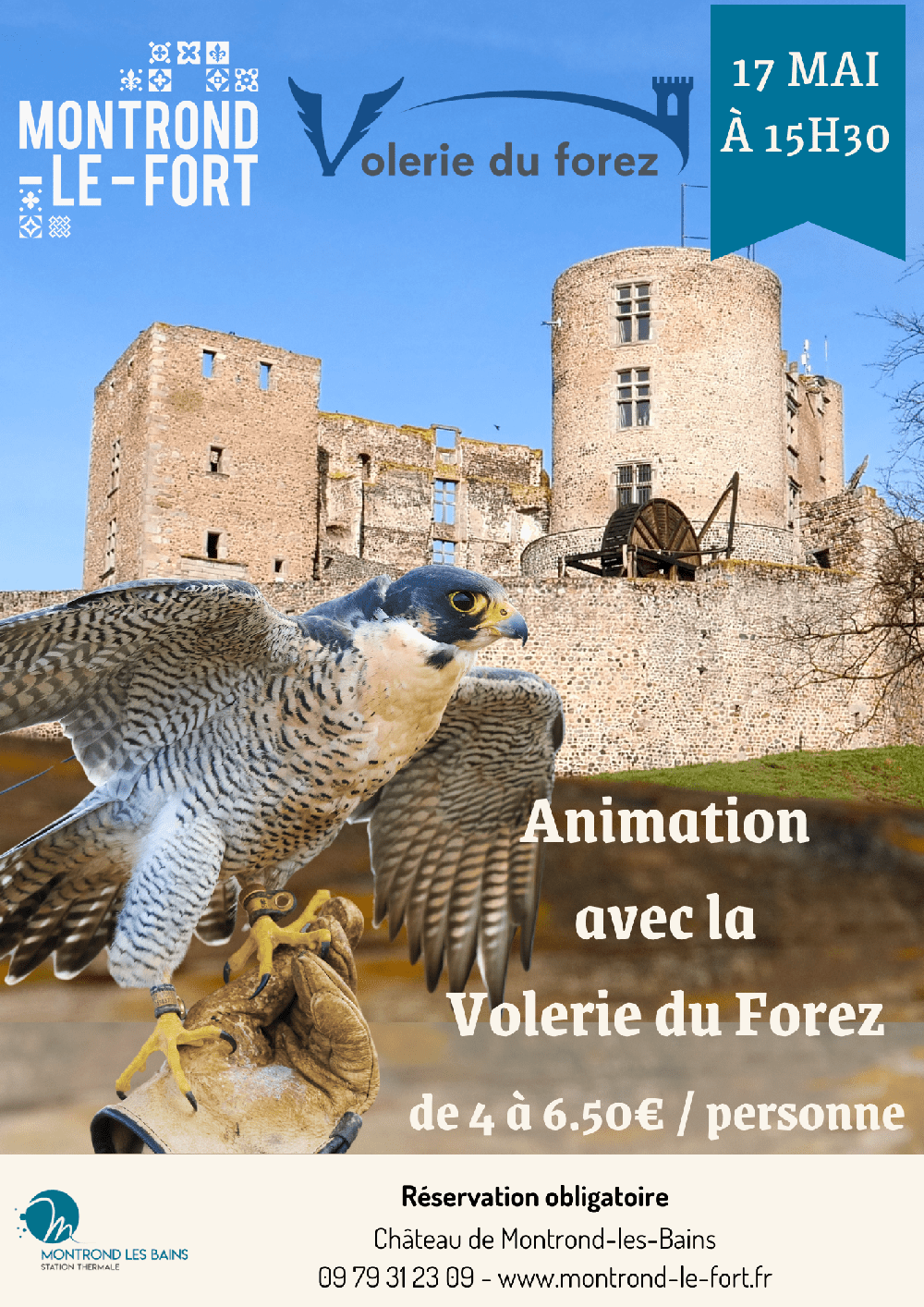 affiche volerie