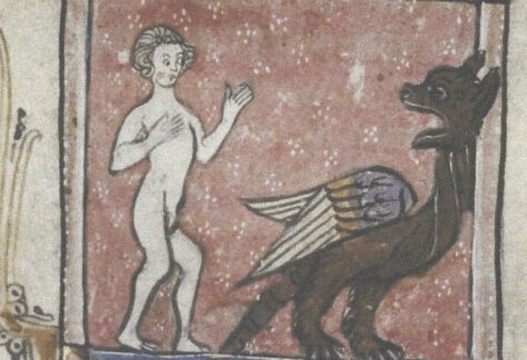 animaux fantastique